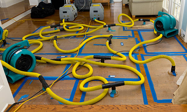 Professional Basement Flood Cleanup technician working in Carson City, NV